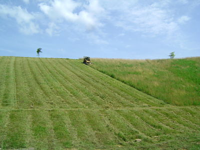 Lawn